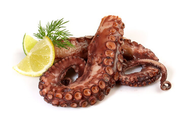 Boiled Octopus Tentacles with Lemon isolated on white Background © ExQuisine