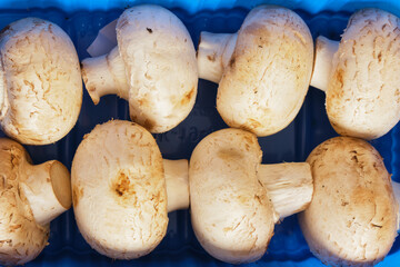 Fresh champignons in plastic packaging close up