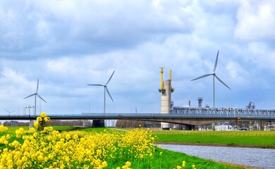 Yellow spring flowers, a bridge and wind turbines in Spijkenisse in South Holland