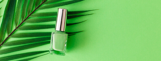 Banner Bottle of green nail polish and palm tree branch on pastel green background. Manicure and pedicure concept. Flat lay, top view, copy space