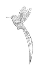 outline sketch in graphic style flying bird