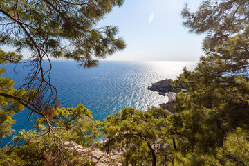 Fototapeta na wymiar beautiful view through the branches of the blue sea