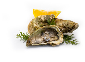 oyster with lemon, greens isolated on white background
