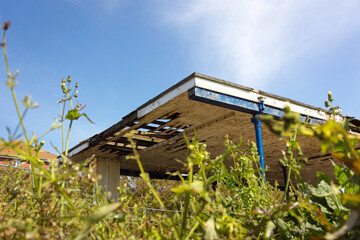 Derelict old roof structure with wild weeds and flowers growing around it