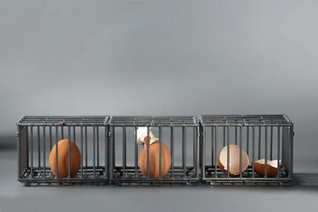 Three broken Brown chicken egg in the little toy cages