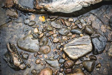 rocks in the river