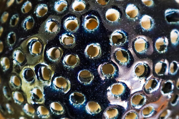 Blue Background with round holes