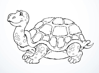 The big turtle. Vector drawing