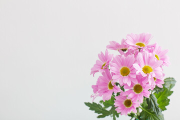 Obraz na płótnie Canvas chrysanthemums flowers in bouquet on white background