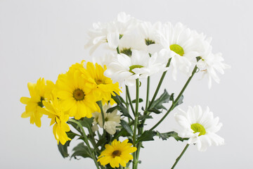 chrysanthemums flowers in bouquet  on white background
