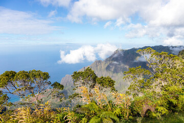 Kauai Hawaii landscape collection 