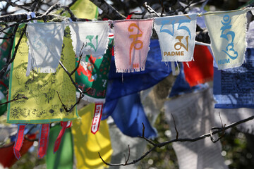 Faith and religion. Buddhism.