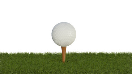 Golf Ball and Tee on the Grass