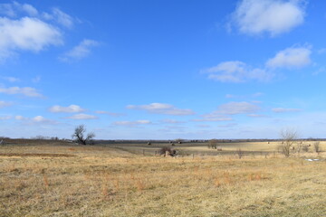 Blue Sky Over a Rural Farm Field