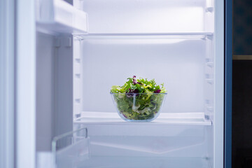 Salad in a transparent bowl in the refrigerator. Food for vegetarians. Set of different salads. Proper nutrition. Assorted salad in the fridge. Vegetarianism concept. Empty fridge with only greens. 