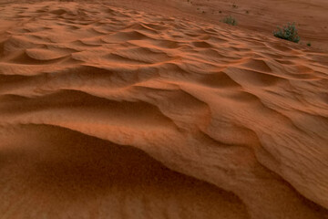 Sand in the UAE desert