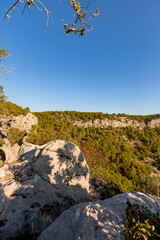 beautiful landscape on the sea mountains with trees