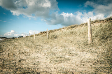 Sand dune and fence on a beach, Re Island, France