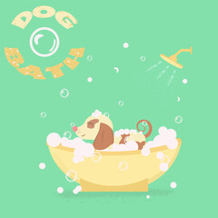 spa and grooming for dogs in green tones