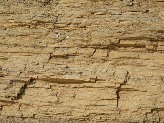 rocky texture on beach