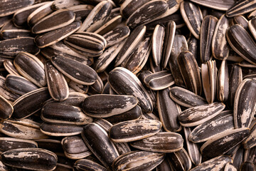 Organic sunflower seeds, macro photo. Background, texture.