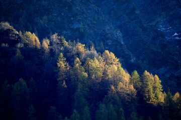 Fototapeta na wymiar French Alps.