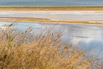 firth near the sea..