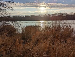 morning on the lake