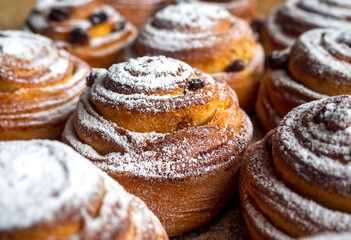 Buns with cinnamon and powdered sugar. The concept of cooking delicious food at home, homemade cakes. Background of buns. Selective  focus.