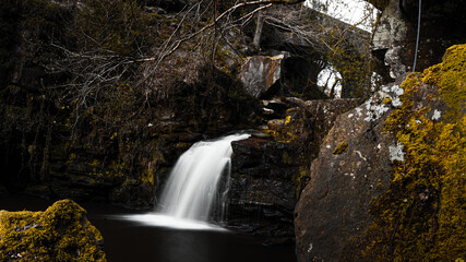 Obraz premium Scenic View Of Waterfall In Forest Long Exposure - In Falling Foss Forest