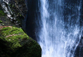 苔生した岩と滝の写真