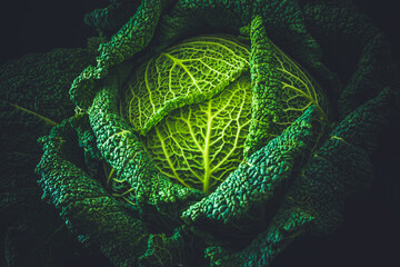 Whole savoy cabbage on a black background