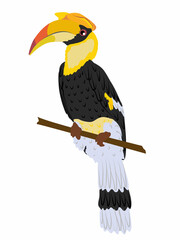 Great hornbill Buceros bicornis sits on a branch. Tropical bird great Indian hornbill. Realistic vector wild birds of India and Southeast Asia