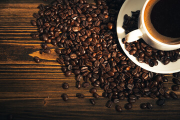 coffe beans on dark background