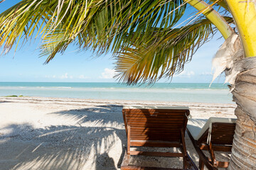 Panoramic view of a beach with sundeck and tropical palms in Holbox Island, Mexico