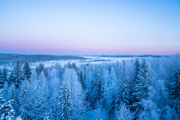 Torronsuo national park during winter sunset in Finland