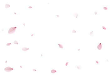 Sakura petals holiday background. Holiday vector