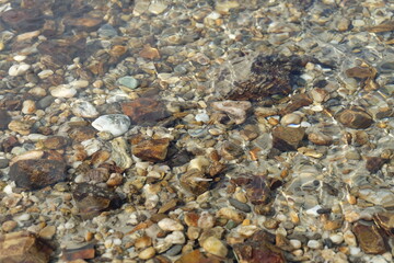 Stones Beneath Shallow River