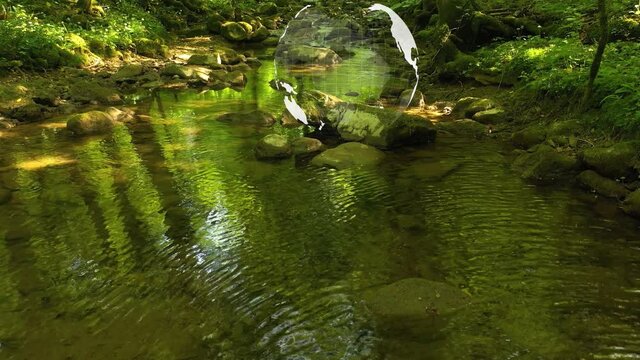Nature ecosystem stream water reflection with transparent Earth globe environment animation background.