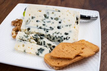 Tastig of French king of cheeses, sheep milk blue cheese roquefort from Southern France,