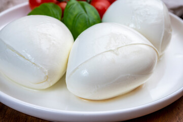 Tasing of fresh italian cheese mozzarella di buffalo