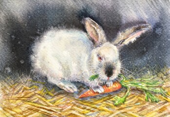 Watercolor easter bunny. Rabbit with carrot. Horizontal view, copy-space. Template for designs , card, wallpaper. 