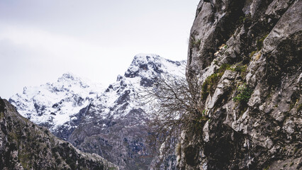 Fototapeta na wymiar Cares Route, Picos de Europa National Park