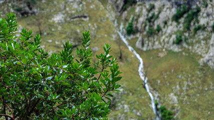 Naklejka na ściany i meble Cares Route, Picos de Europa National Park