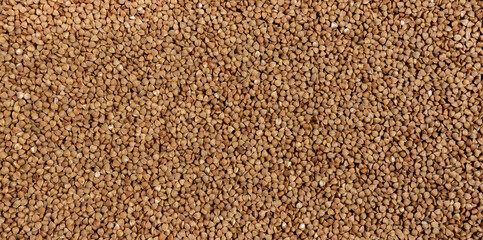 Buckwheat groats. Buckwheat texture background. Natural healthy food, vegan diet. Close. Buckwheat grains.