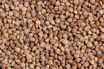 Buckwheat porridge. Natural healthy food, culture, close up, vegan diet. Close. Buckwheat groats.