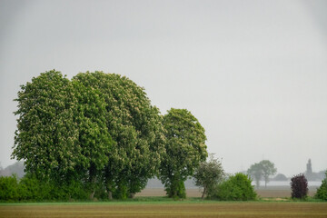 Cloud images with rain clouds and storm clouds in the landscape