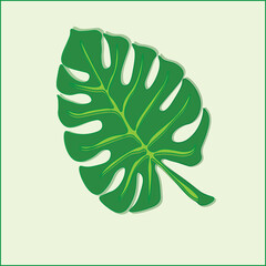 Naklejka na ściany i meble tropical fern leaf on white backfround vecotr