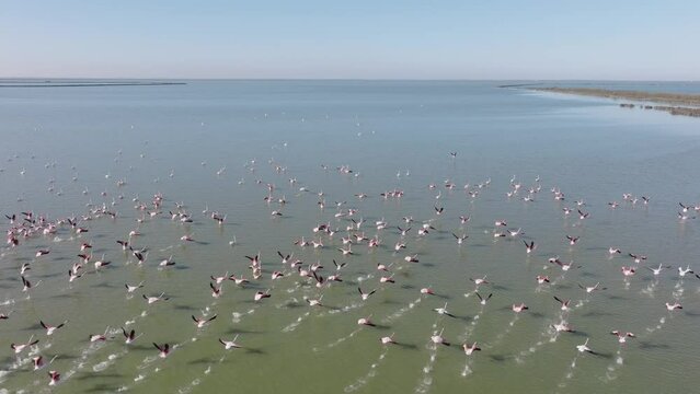 Parco del Delta del Po - Regione Emilia - Romagna