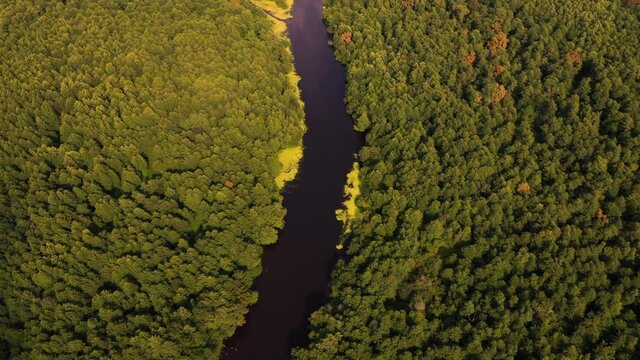 Forest and river valley seen from the height of a bird.